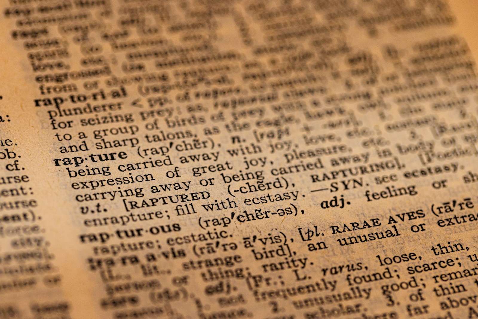A close-up of a dictionary page with definitions in black text.